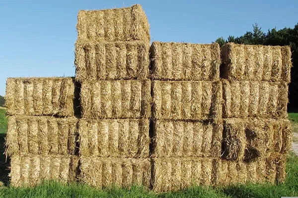 Bailing twine