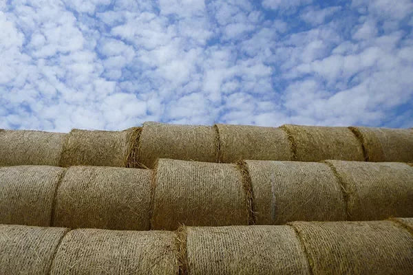 Bale Net Wrap